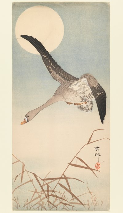 Goose Flying in Moonlight by Ohara Koson